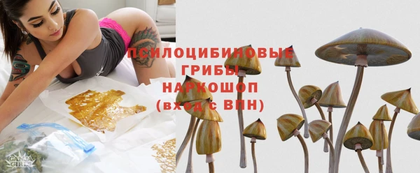 дурь Горнозаводск