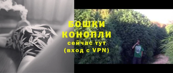 дурь Горнозаводск
