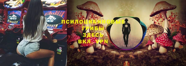 дурь Горнозаводск